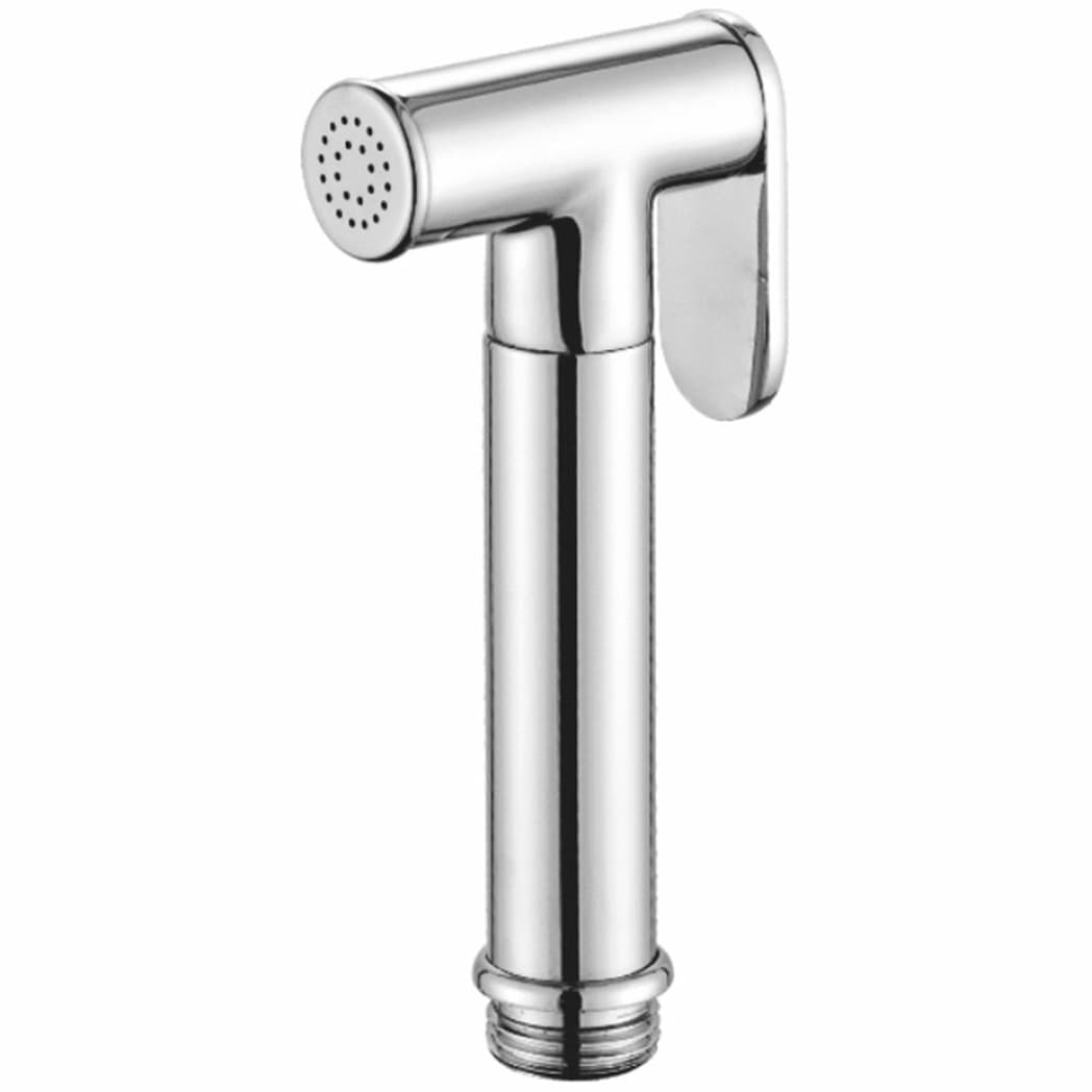 Гигиеническая лейка Рагло R460 хром R460.03, Raglo