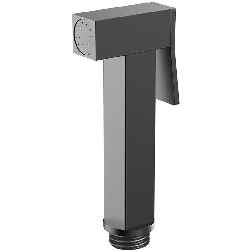 Гигиеническая лейка Рагло R460 графитовая R460.04.09, Raglo